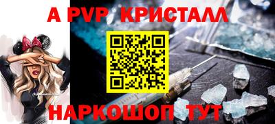 СК Новокубанск