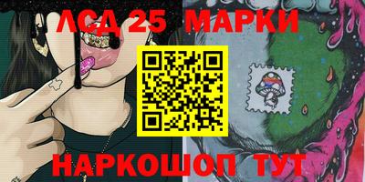 СК Новокубанск