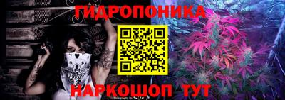 МДМА Новозыбков