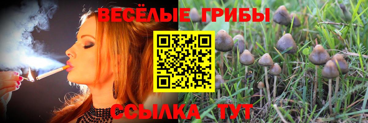 Галлюциногенные грибы мицелий Солнечногорск