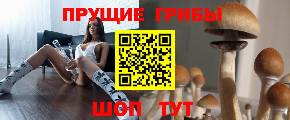 Галлюциногенные грибы мухоморы  Вход с VPN  Псилоцибиновые грибы прущие грибы  Солнечногорск 